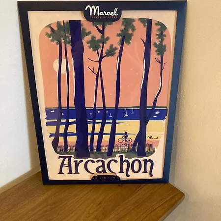 Cosy Au Coeur De La D'ete Apartment *